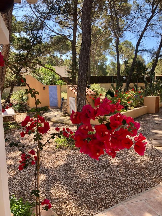 Apartamento Sa Ginebra, Cala Saona Eksteriør billede