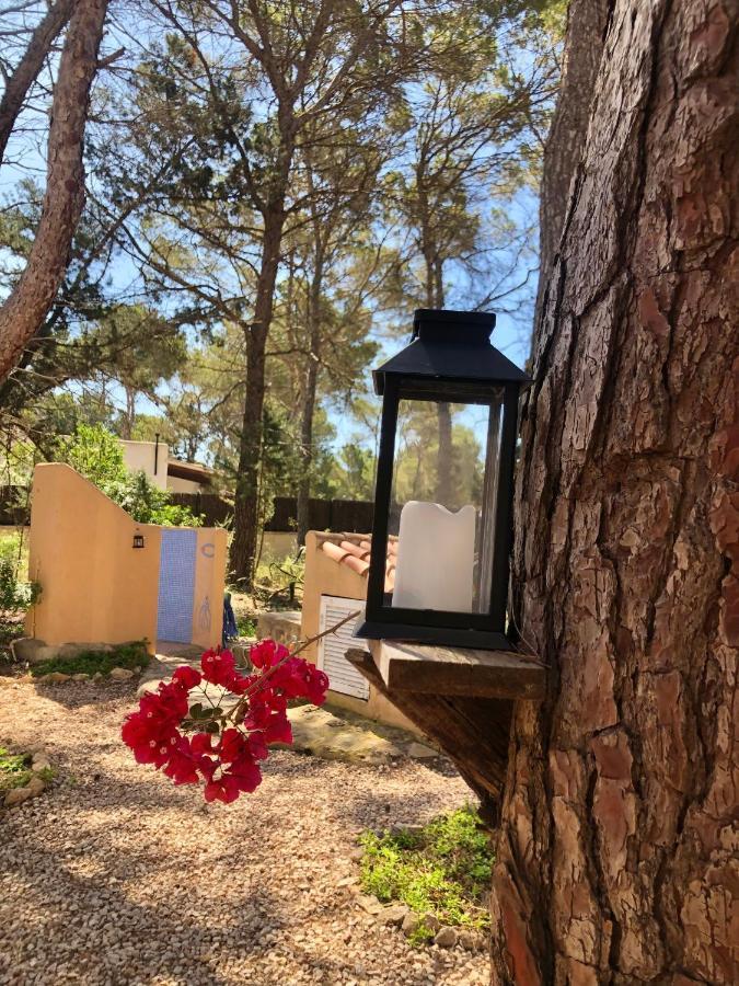 Apartamento Sa Ginebra, Cala Saona Eksteriør billede