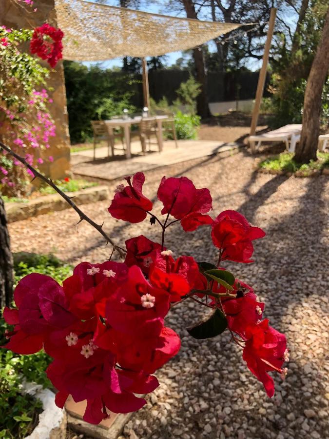 Apartamento Sa Ginebra, Cala Saona Eksteriør billede