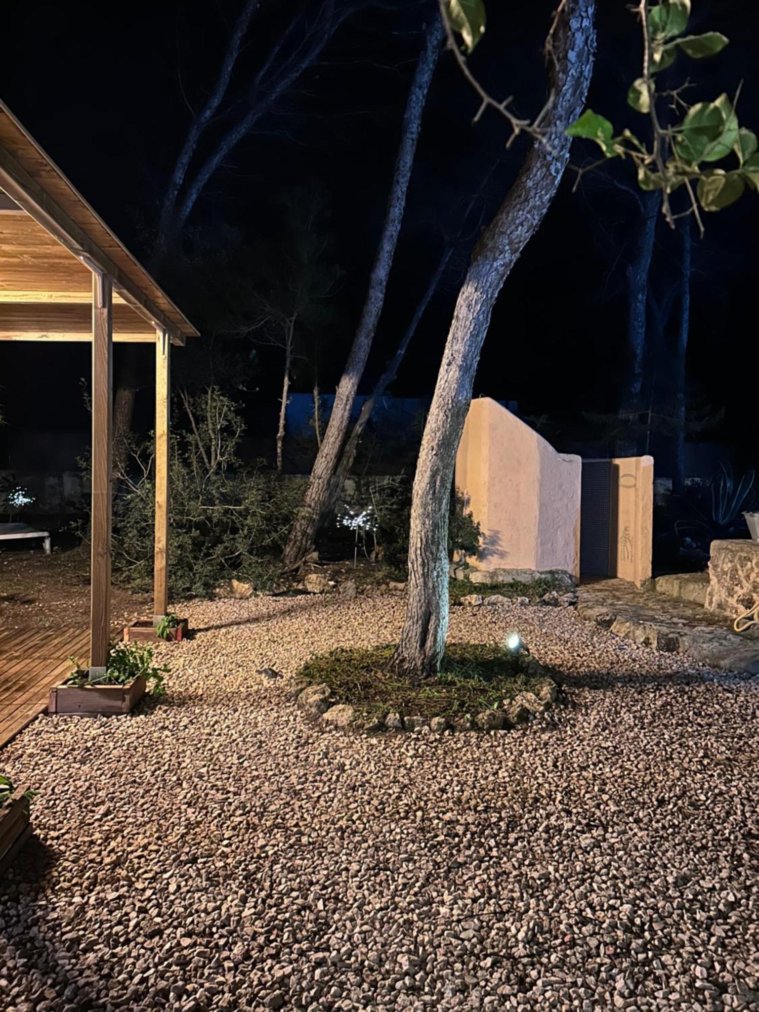 Apartamento Sa Ginebra, Cala Saona Eksteriør billede